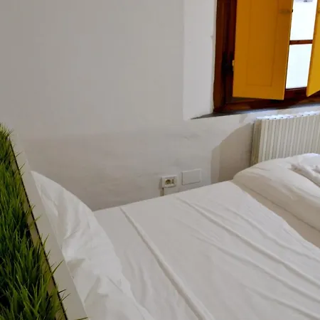 Green Domus Guest house
