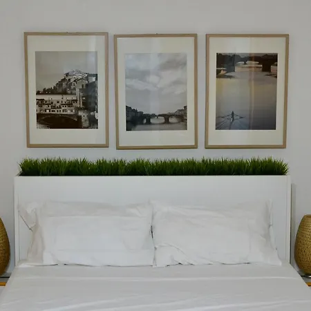 Green Domus Guest house 2*