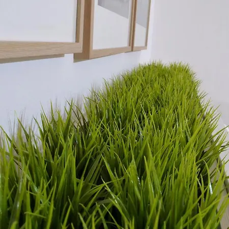 Guest house Green Domus