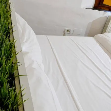 Green Domus